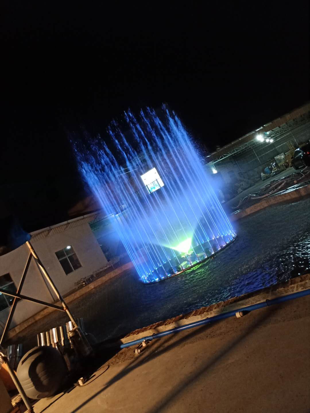 5����˹�����