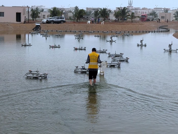 ALINA����160��һά��ά������Ȫ