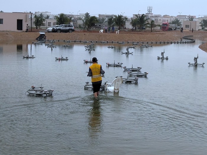 ALINA����160��һά��ά������Ȫ