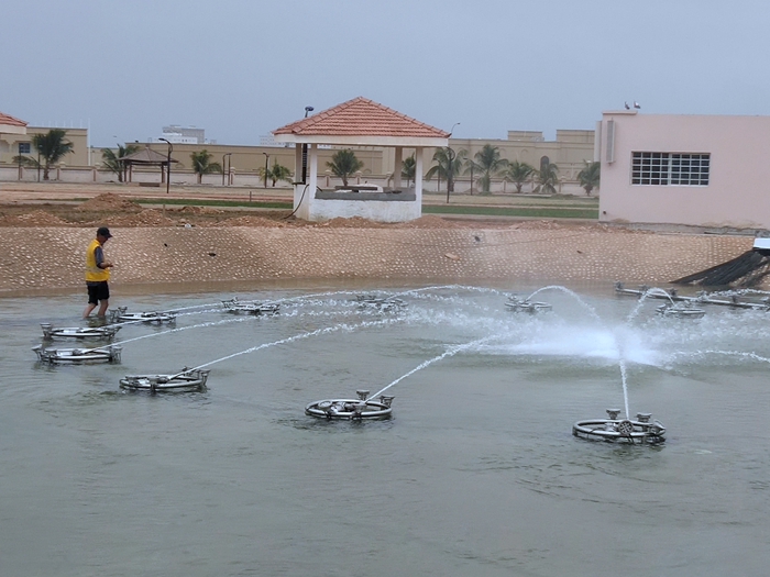 ALINA����160��һά��ά������Ȫ