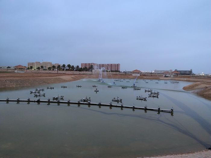 ALINA����160��һά��ά������Ȫ