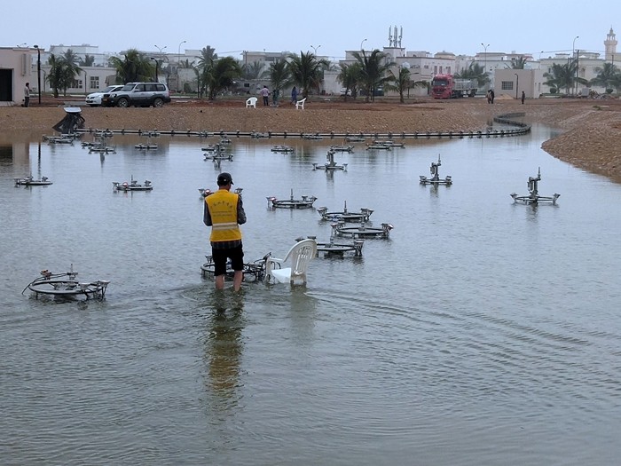 ALINA����160��һά��ά������Ȫ