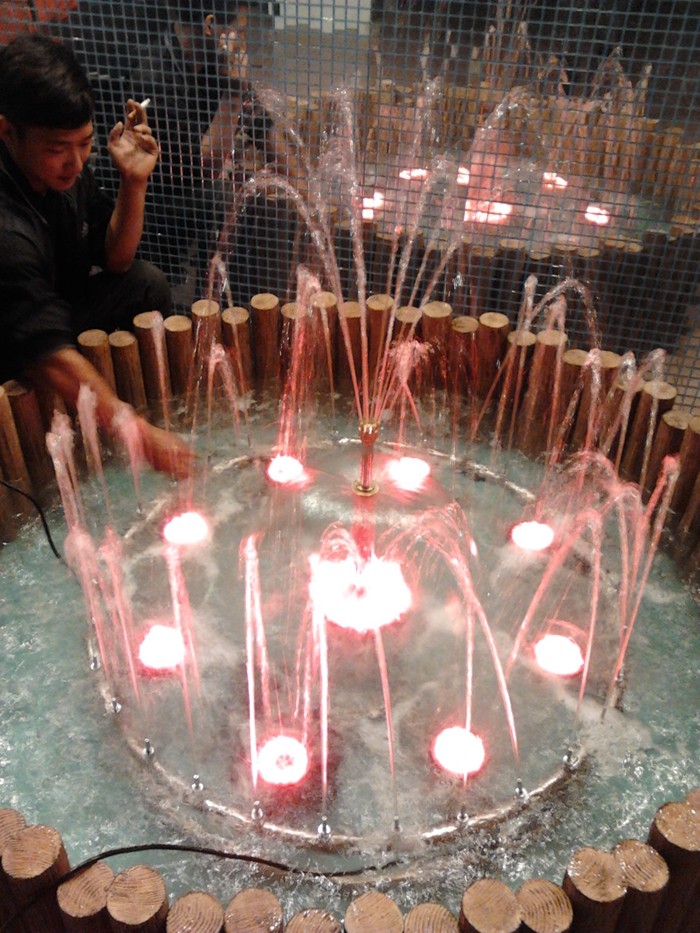 FS01��Ȫ����